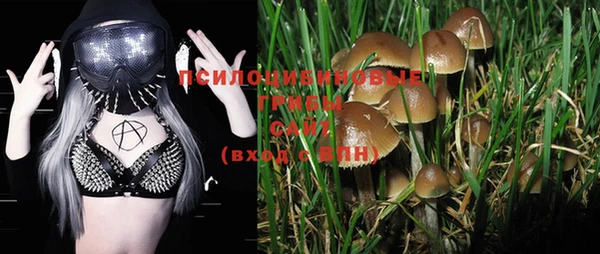 2c-b Инсар