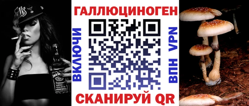 Купить закладки  Закаменск  Псилоцибиновые грибы Magic Shrooms 